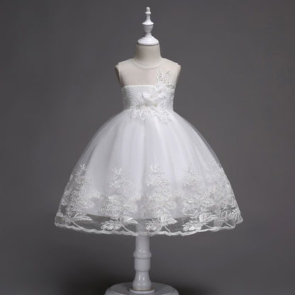 Chloe Elegant Dress